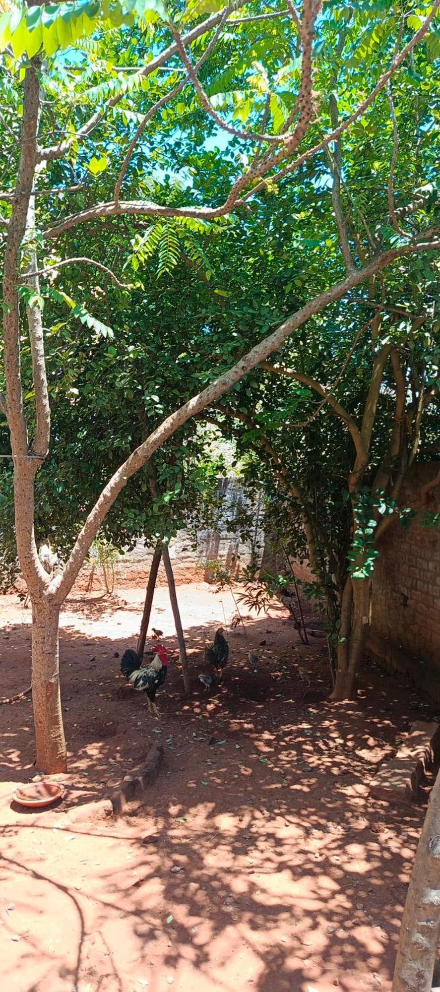 Le Vieux Sejour A La Maison Kottakuppam Esterno foto
